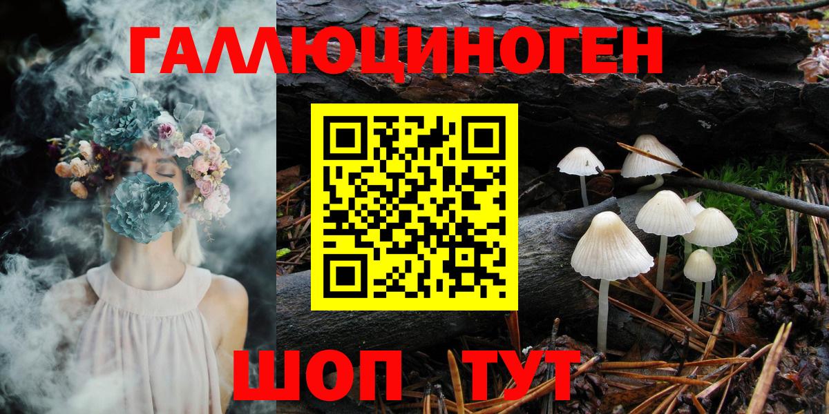 Галлюциногенные грибы Magic Shrooms Архангельск