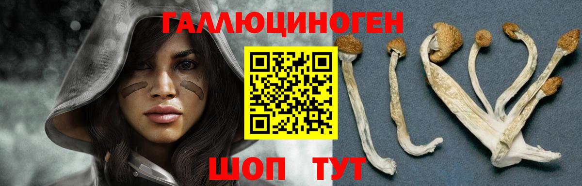 Псилоцибиновые грибы MAGIC MUSHROOMS  Вход с VPN  Галлюциногенные грибы Cubensis  Архангельск 